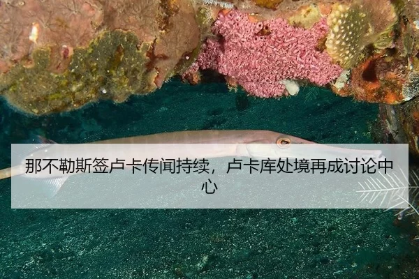 那不勒斯签卢卡传闻持续，卢卡库处境再成讨论中心
